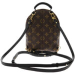 Louis Vuitton Monogram Palm Springs Backpack Mini Bag M41562 Brown